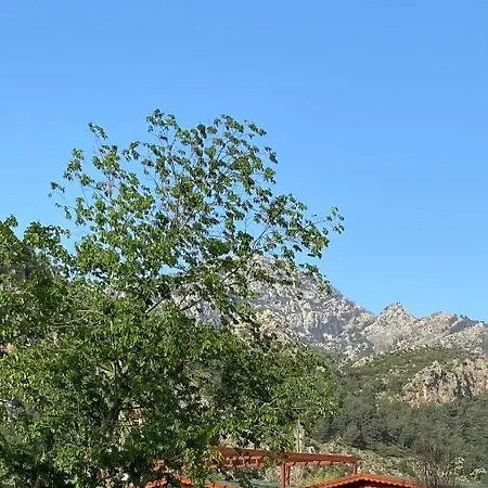 Nehir Bungalow, Mandarin *