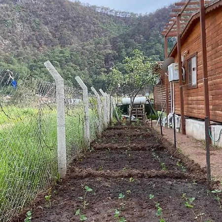 לינה וארוחת בוקר Nehir Bungalow, Mandarin
