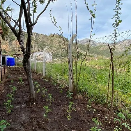 לינה וארוחת בוקר Nehir Bungalow, Mandarin *